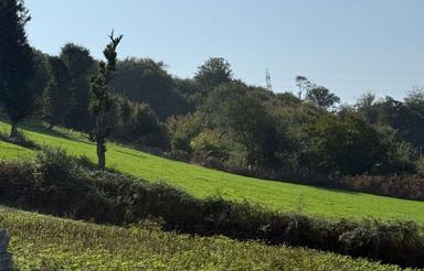 زمین 500 متری در بام گلورد