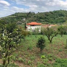 فروش زمین مسکونی 500 متر در شکتا