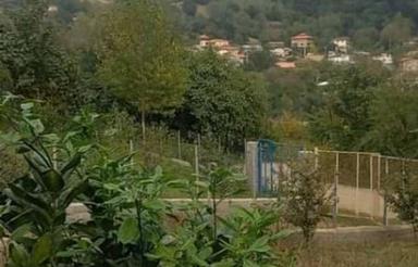 فروش زمین کشاورزی 400 متر در کلیجان رستاق