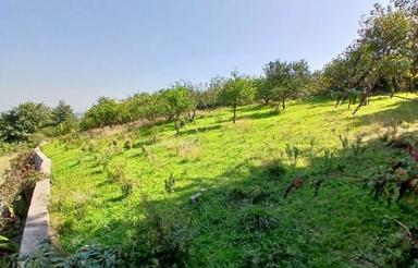 فروش زمین مسکونی 4000 متر در شهرودکلا ویو ابدی