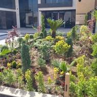 خدمات باغبانی گلکاری درختکاری کاشت گل تعویض خاک گلدون