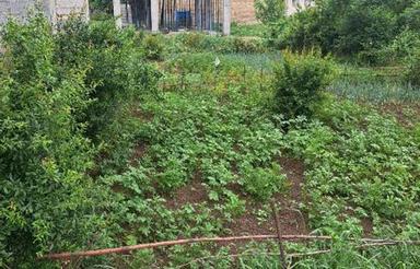 فروش زمین مسکونی 96 متر در مهدشت