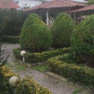 هرس گل باغبانی سم پاشی