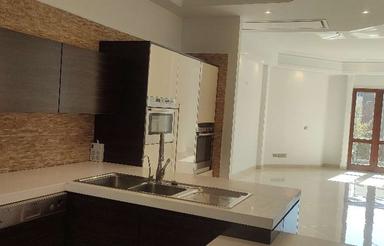 اجاره آپارتمان 390 متر در کامرانیه