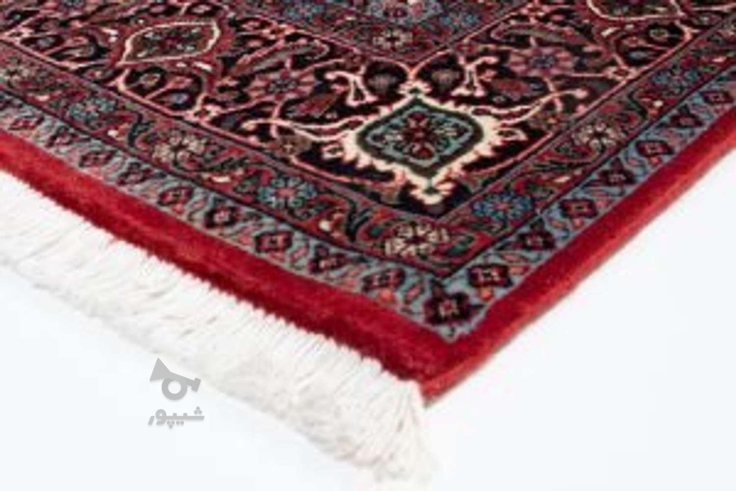 کارخانه قالیشویی مبلشویی فرشچی سرویس رایگان 50 درصد تخفیف