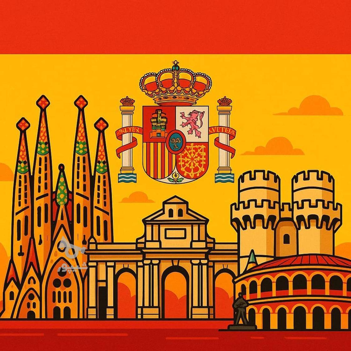 مترجم و مدرس دو زبانه اسپانیایی و انگلیسی - undefined