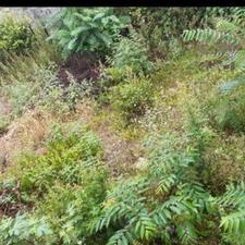 فروش زمین مسکونی 140 متر در مرکز شهر