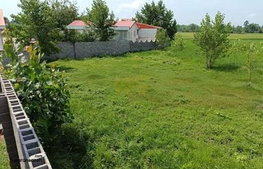 فروش زمین کشاورزی 1800 متر در جاده قائمشهر روستایی سرخکلا