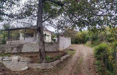 فروش زمین 240 متر در وارد محله (عصر جدید)