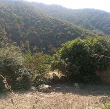 زمین در روستای سوسرا ویو عالی