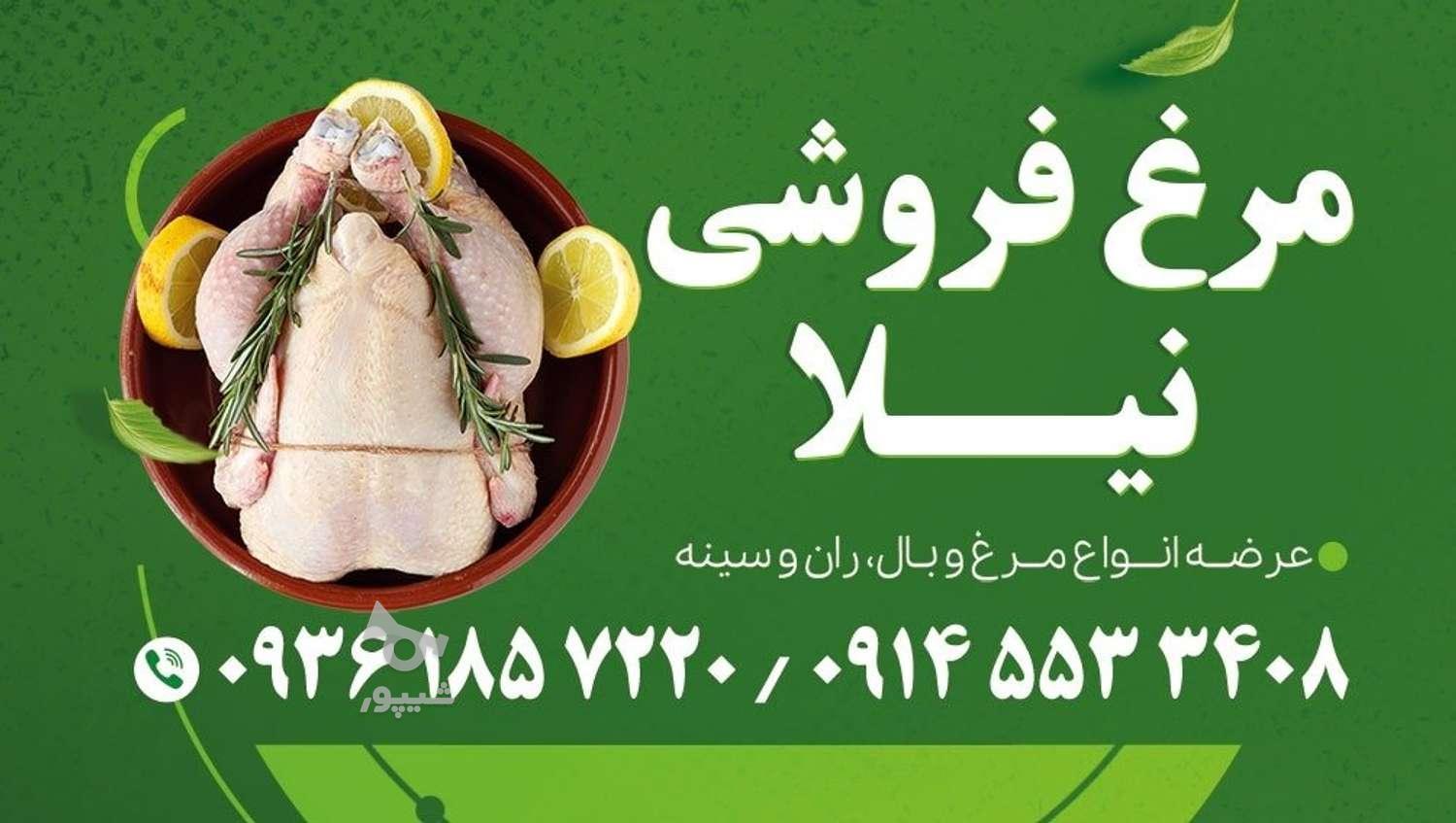 مرغ فروشی زند