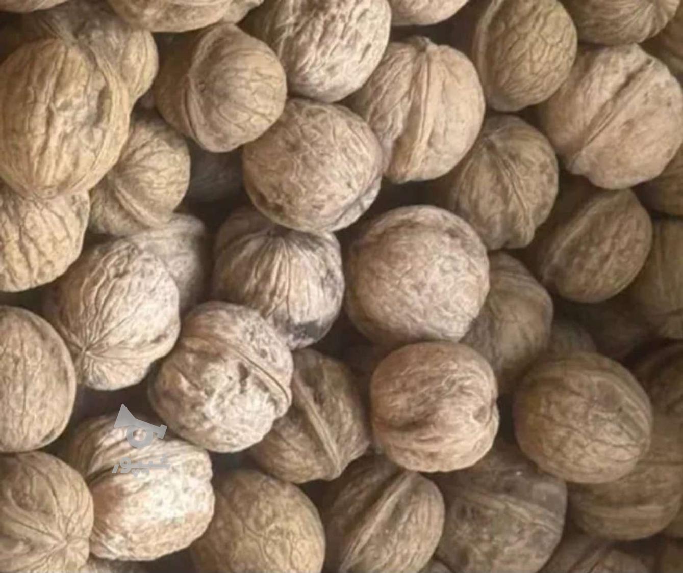پخش گردوی لاکچری پسند