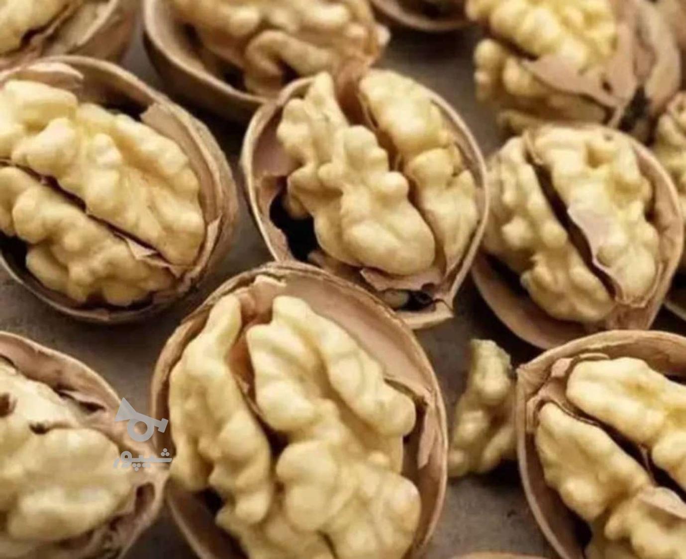 پخش گردوی لاکچری پسند