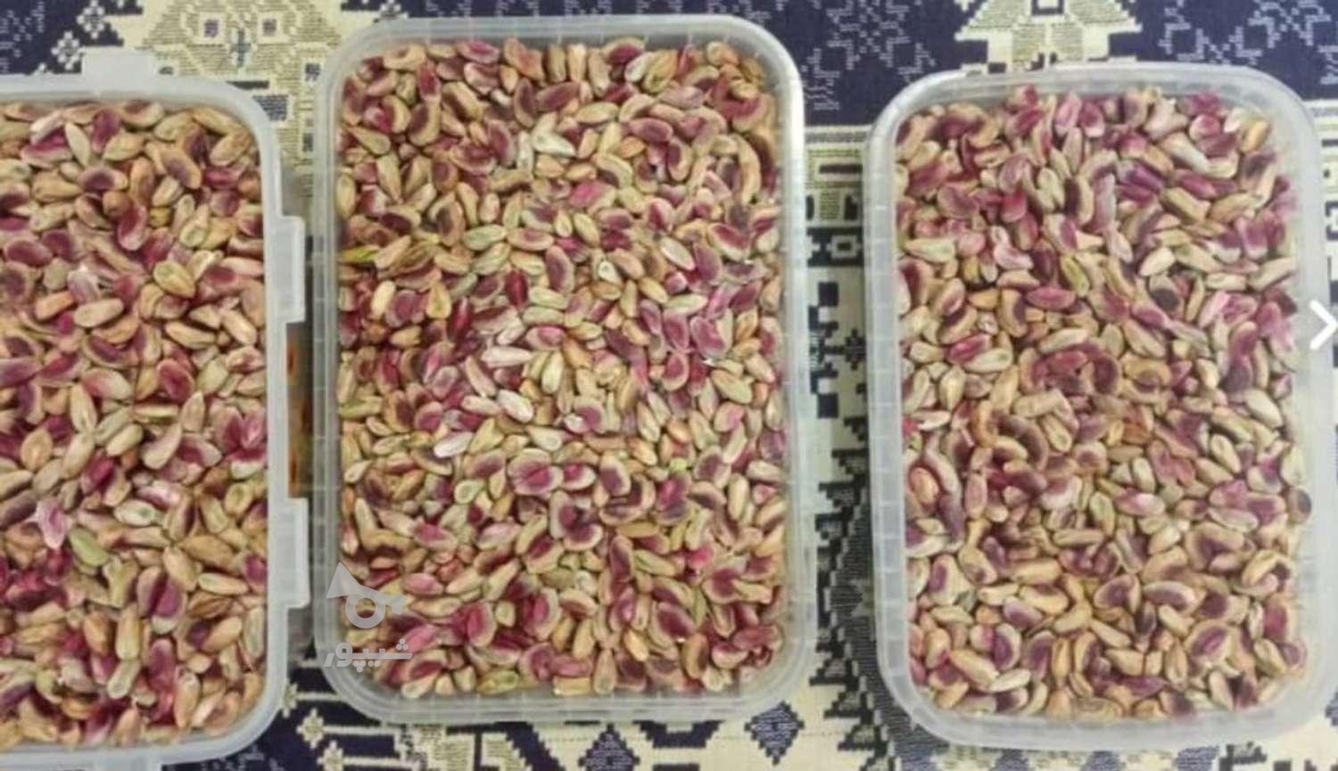 پخش گردوی لاکچری پسند