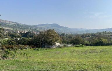 فروش زمین کشاورزی 2000 متری ویو ابدی جاده ساری به نکا