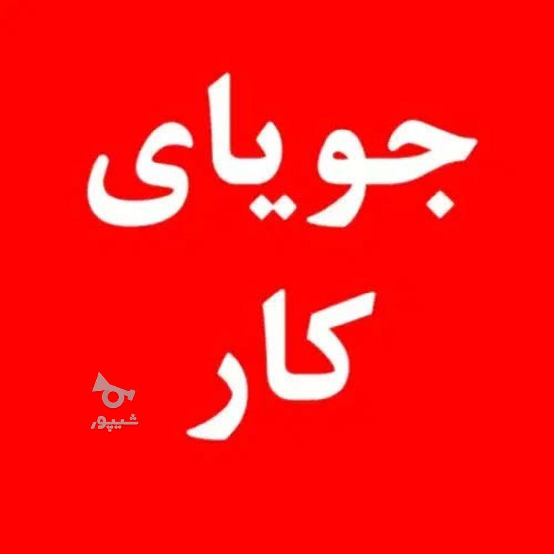 جویای کارم - undefined