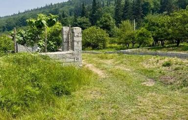 فروش زمین 200 متر در تنگ لته خیابان صاحب الزمان