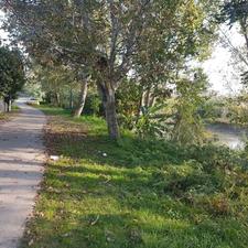 فروش ویلا 300 متری در محیطی سرسبز و آرام