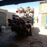 به تعدادی نیروی آقا وجهت کاردرکارگاه قالی شویی نیازمندیم