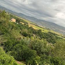 زمین مسکونی 190 متر در (تنگ لته) ساری