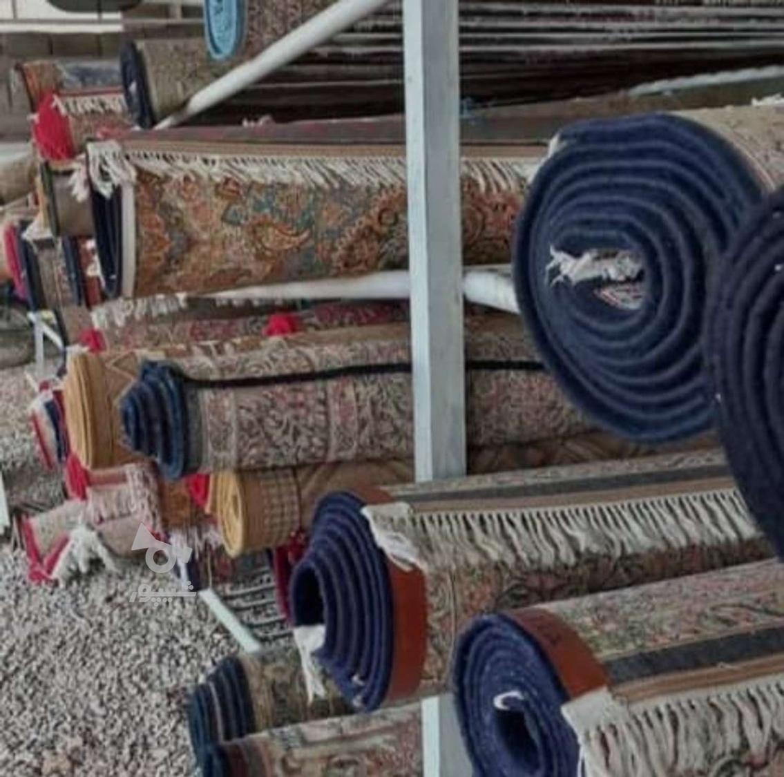 قالیشویی و مبلشویی دریا