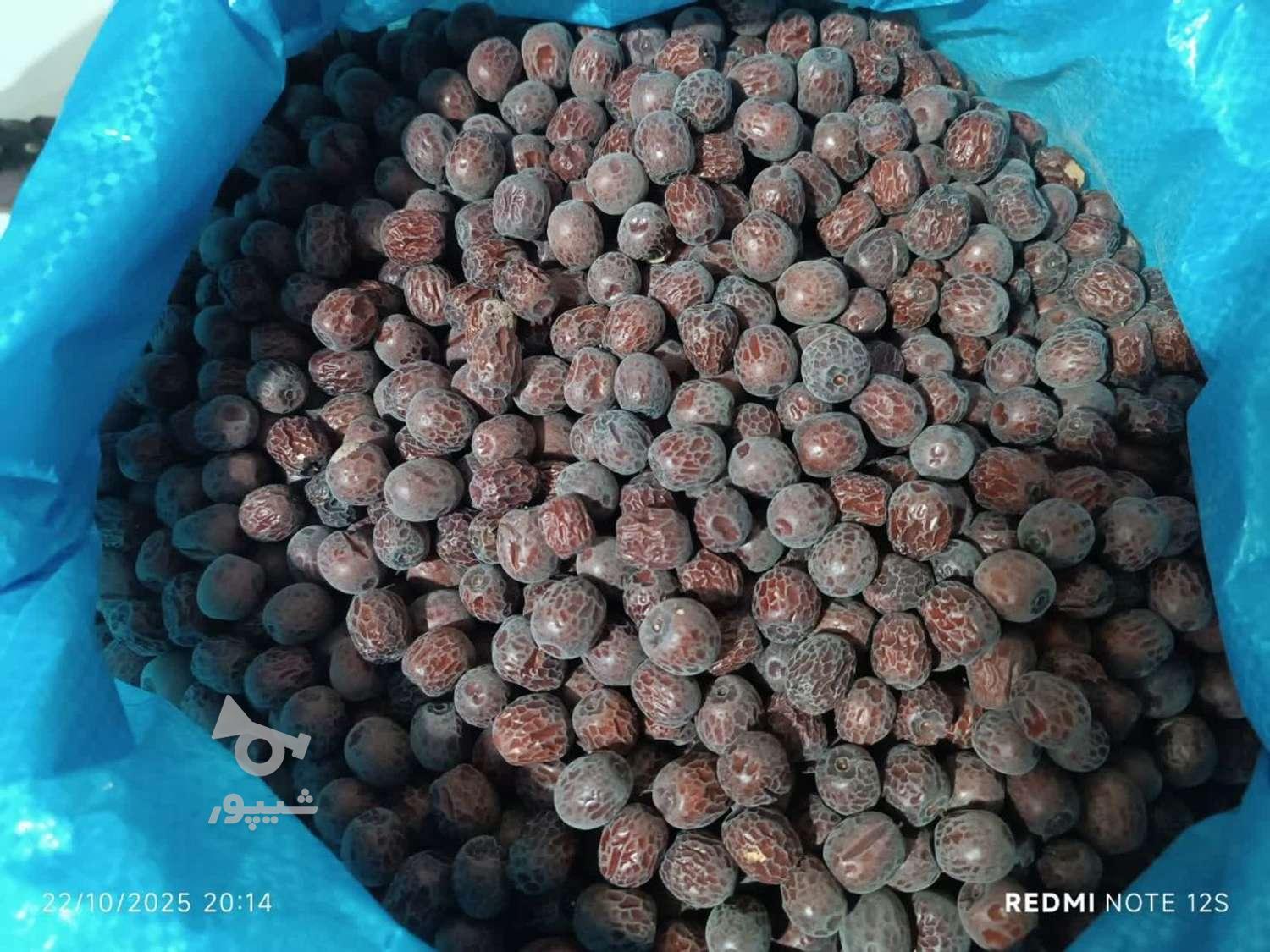 عناب درجه یک بیرجند