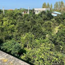 فروش زمین مسکونی 1400 متر در جاده کیاکلا