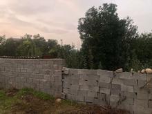 فروش زمین کشاورزی 250 متر در قلعه گردن در شیپور