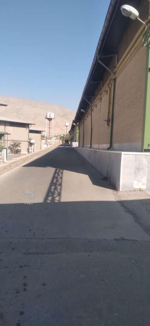 خیاط خانوم ماهر - ایمان میرشکار