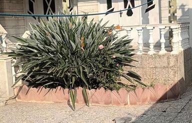 فروش ویلا 199 متر در بلوار بسیج