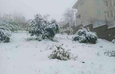 فروش زمین 200 متر در تنگ لته ارتفاع اقاقیا