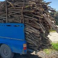 خریدار چوب و ریشه درختان مرکبات و باغی