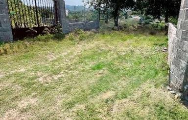 فروش زمین 253 متر در تنگ لته بر خیابان اصلی