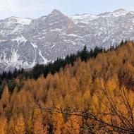 213 متر زمین کاربری مسکونی سوادکوه