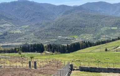 204 متر زمین مسکونی در روستای ییلاقی و خوش منظره لارما