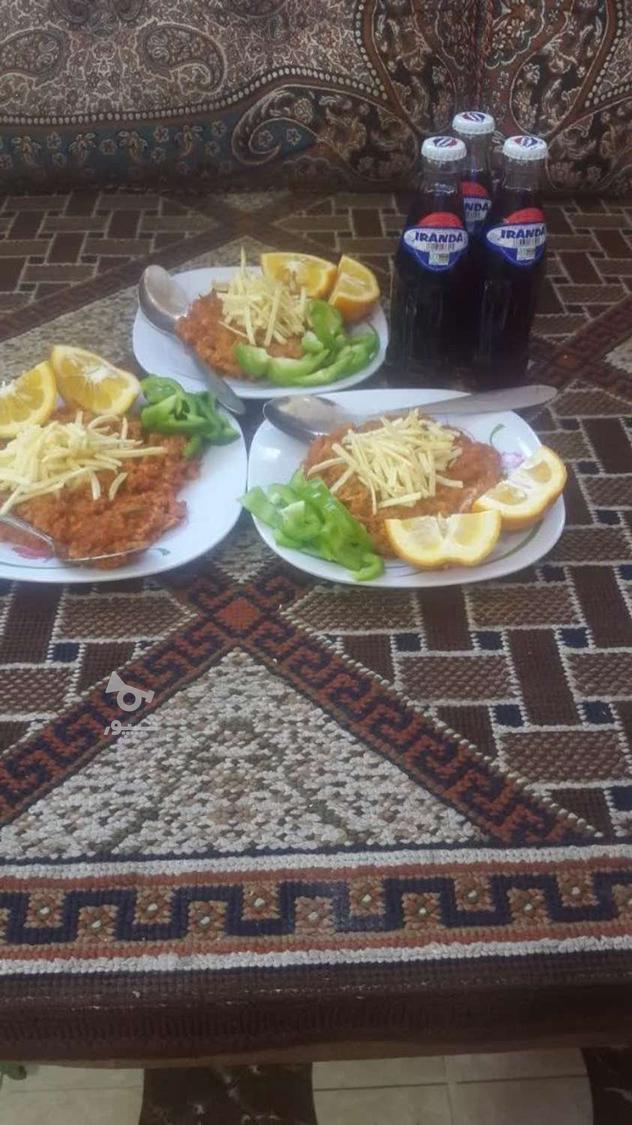 آشپز فست فود - امیر