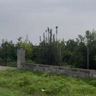 فروش باغ مرکبات 1750 متر در میستان