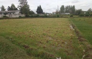 فروش ویلا 750 متر در جاده کوچصفهان