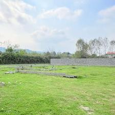 فروش زمین قابل ساخت 183متر جنگلی