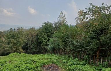 فروش زمین مسکونی 200 متر در بابلکنار