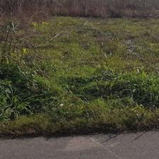 زمین داخل طرح 2400 متری در رضامحله کلاچای