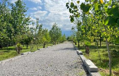 فروش زمین 200 متر در سنگ بست