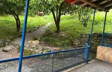 فروش ویلا 240 متر در لفور