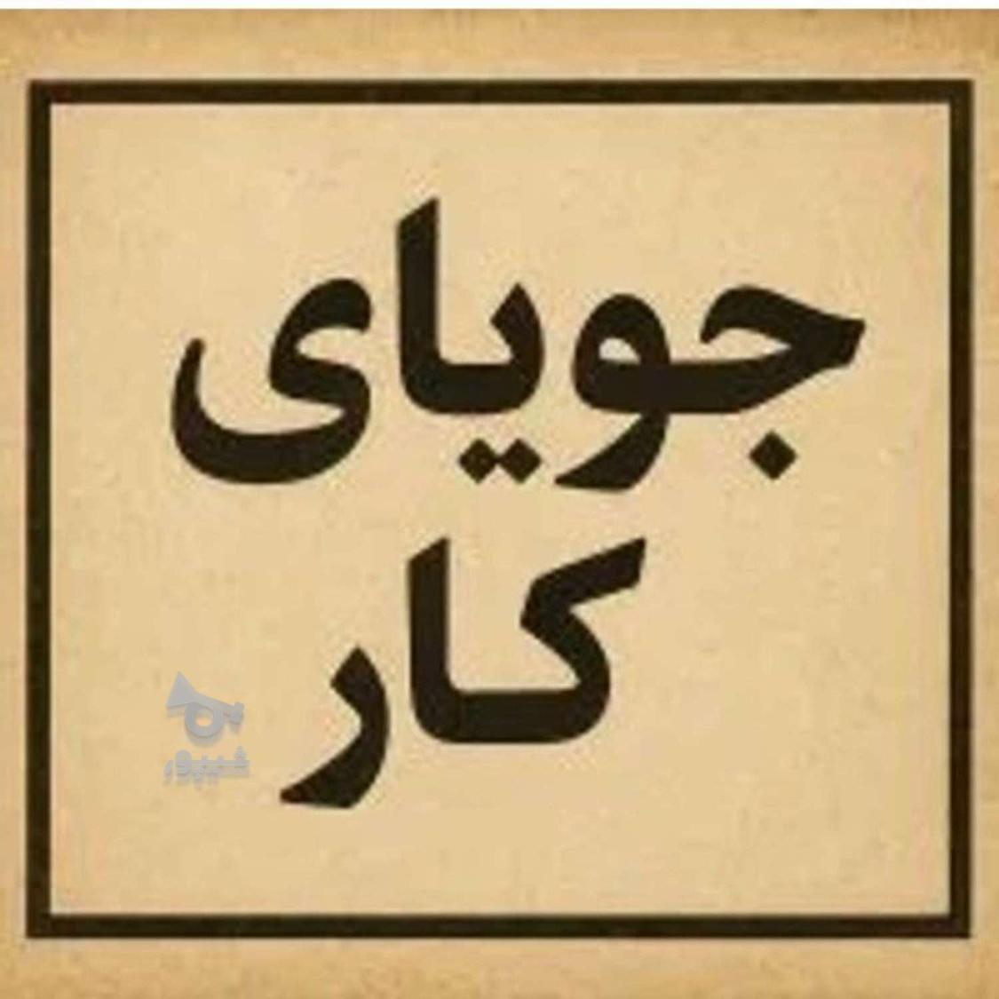 جویای کار نیمه وقت - undefined