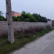 فروش زمین مسکونی 1000 متر در کمربندی امیرکلا