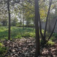 فروش زمین مسکونی 1100 متر در مالفجان،خیابان دلیجان