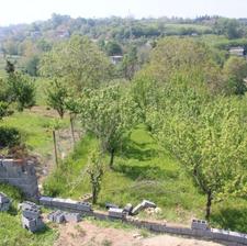 فروش زمین مسکونی 600 متر در هولار