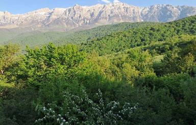 فروش ویلا 350 متر در انارم پل سفید