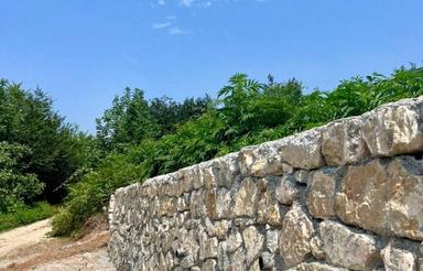 فروش زمین 704 متر در پایین کولا خیابان جنگلی