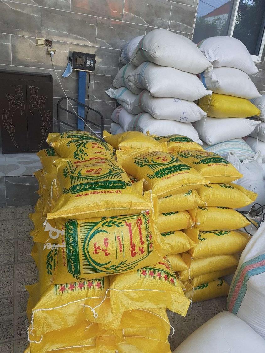 برنج هاشمی 256و فجر 172و لاشه 176ت